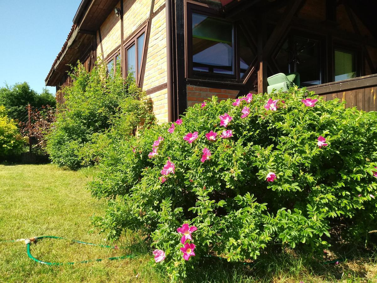 Natura Apartamenty Swaderki Extérieur photo